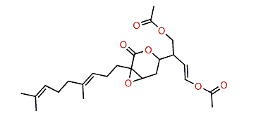 Thuridillin C